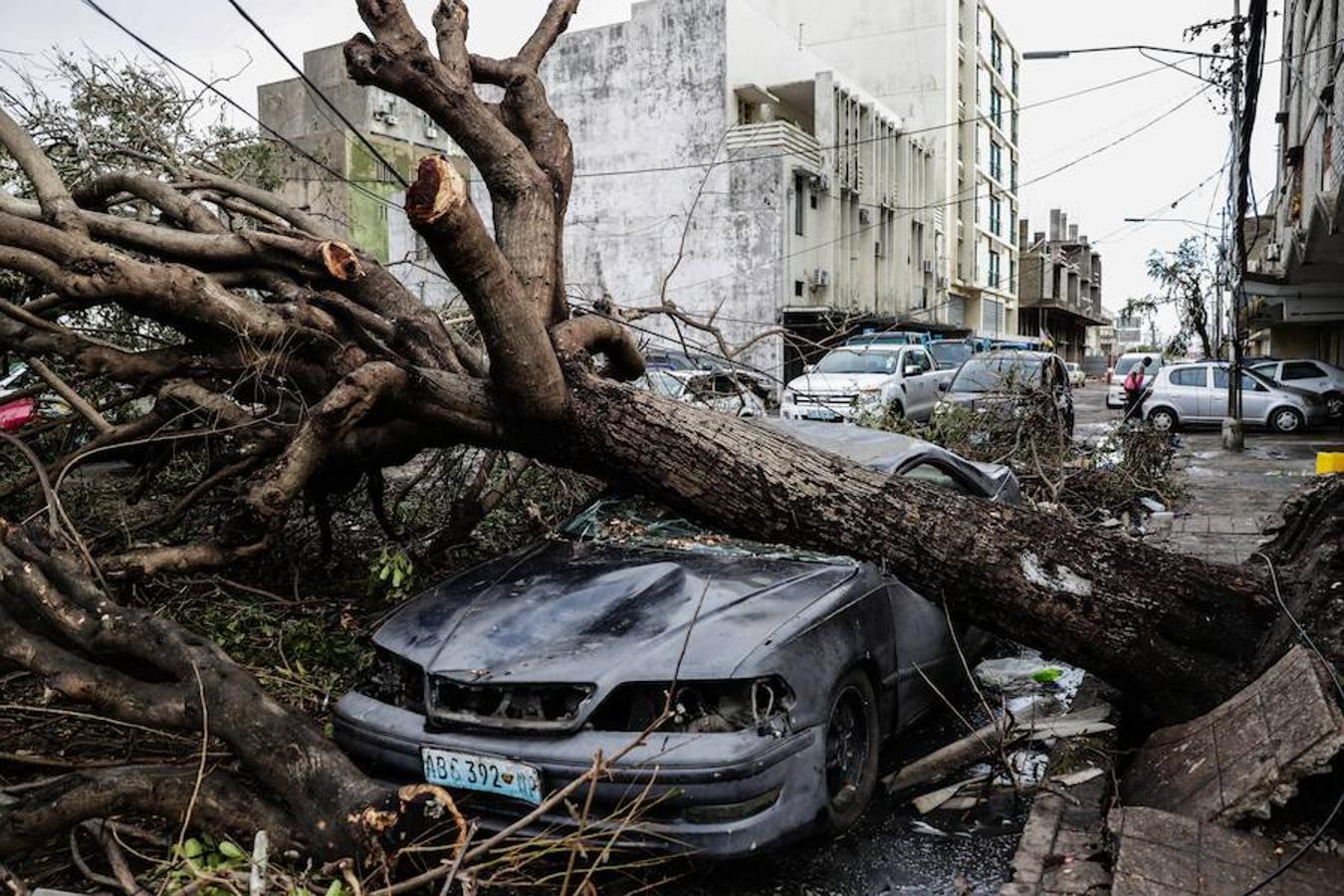 El ciclón Idai, que ha devastado poblaciones enteras a su paso por Mozambique, Malawi y Zimbabue, ha causado al menos 2,8 millones de afectados, según los cálculos que hoy hizo públicos el Programa Mundial de Alimentos (PMA) de las Naciones Unidas.