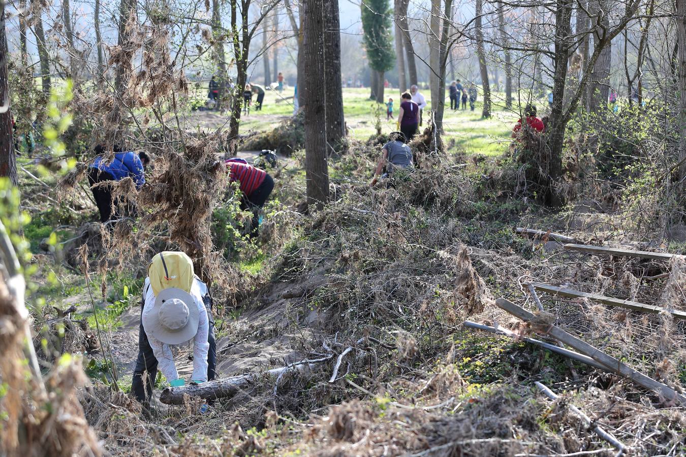 Fotos: Los voluntarios retiran plástico y limpian del río Saja