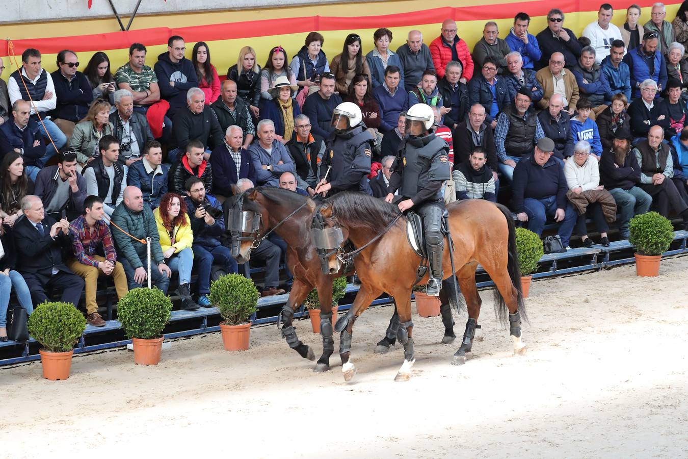 Fotos: La excelencia caballar de Ibio