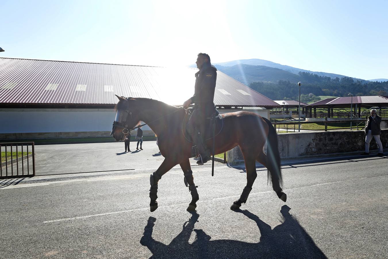 Fotos: La excelencia caballar de Ibio