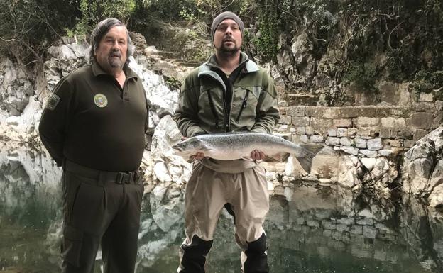 Imagen principal - Un restaurante de Ribadesella compra el &#039;campanu&#039; de Cantabria por 2.500 euros