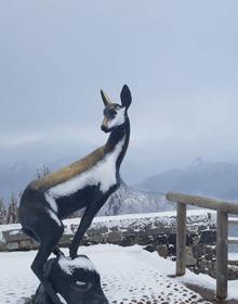 Imagen secundaria 2 - Nieve en Liébana