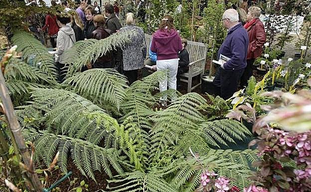 Una treintena de expositores participará en una nueva edición de la Feria de Árboles y Plantas