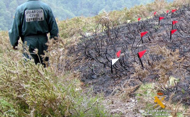 Un agente del Seprona, en la investigación posterior de un incendio en Cantabria.