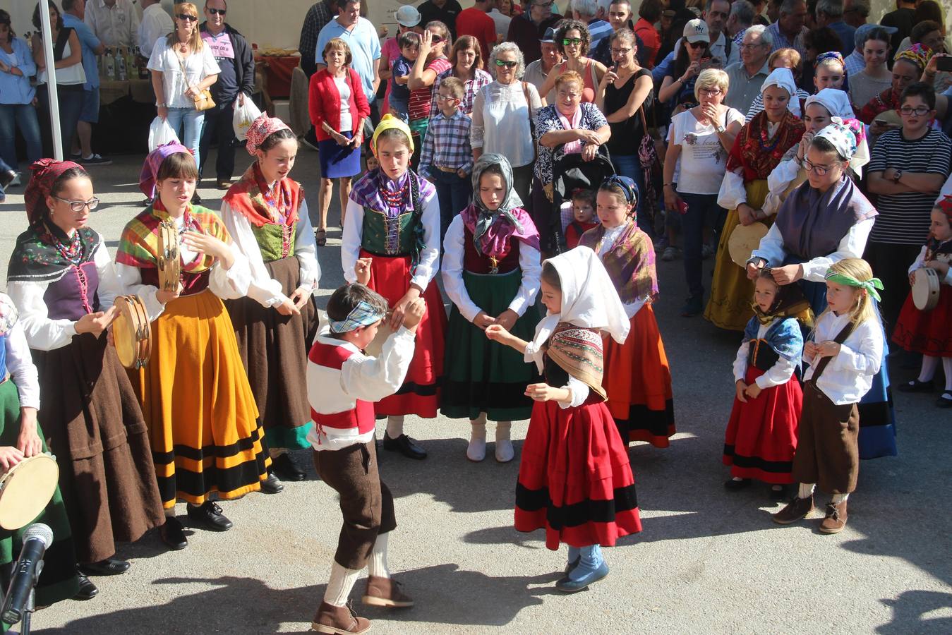 Ocho ayuntamientos se unen en un maratón de conciertos para reclamar una escuela de música y danza en Liébana