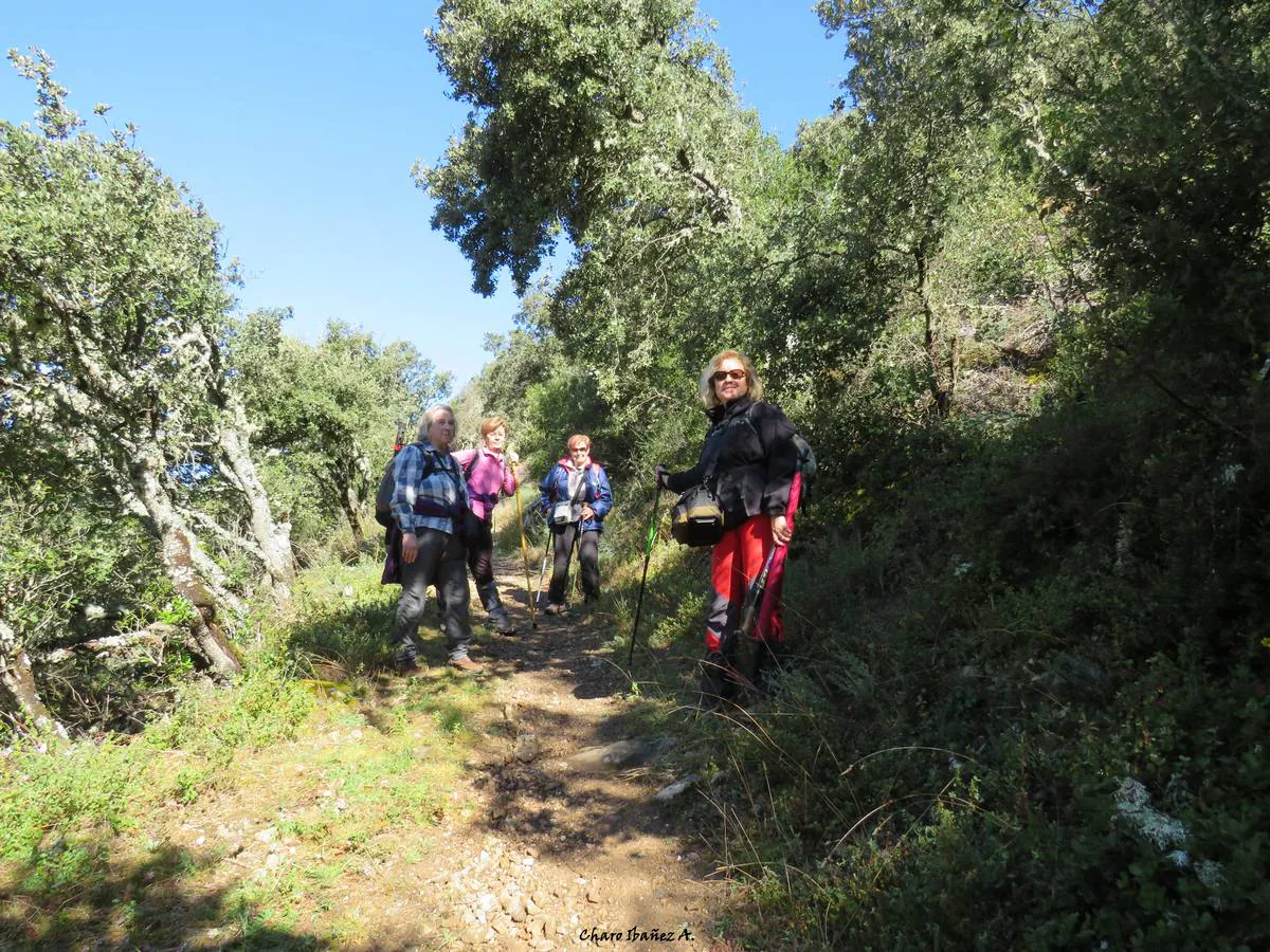 Los grupos de montaña Cacicedo y El Argayu nos enseñan este recorrido por el municipio lebaniego de Pesaguero