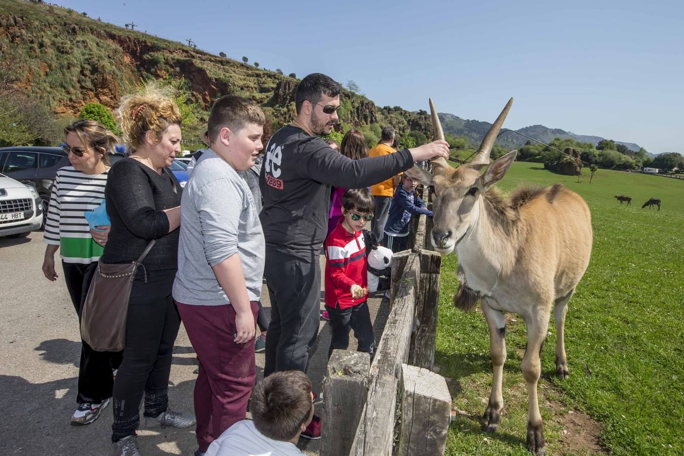 No solo los niños se interesan por acercarse a las especies exóticas