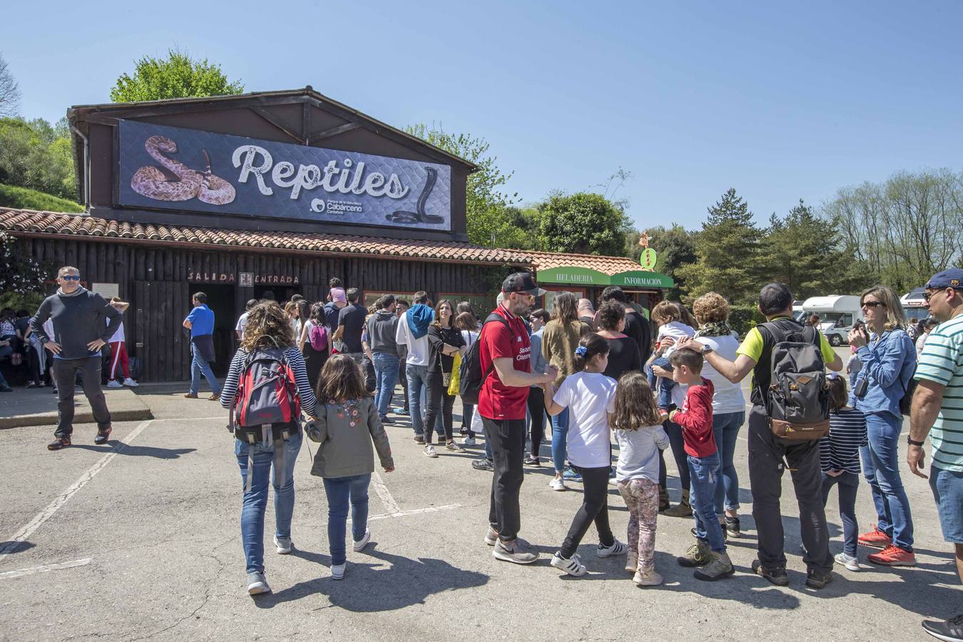 La zona de reptiles con colas para acceder