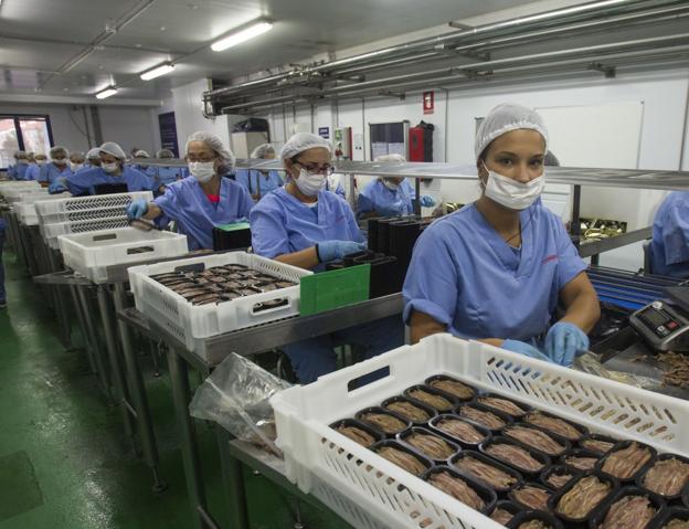  En proceso. Unas empleadas del sector trabajan en la elaboración de anchoas, en el Grupo Consorcio. 