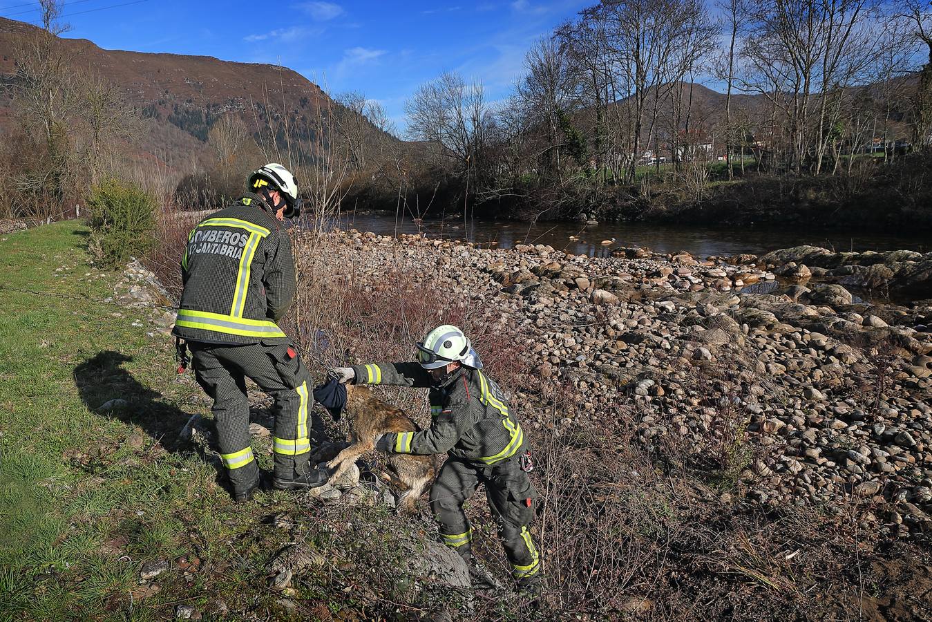 Rescate de un perro en el río Saja, en Ruente (enero 2019).