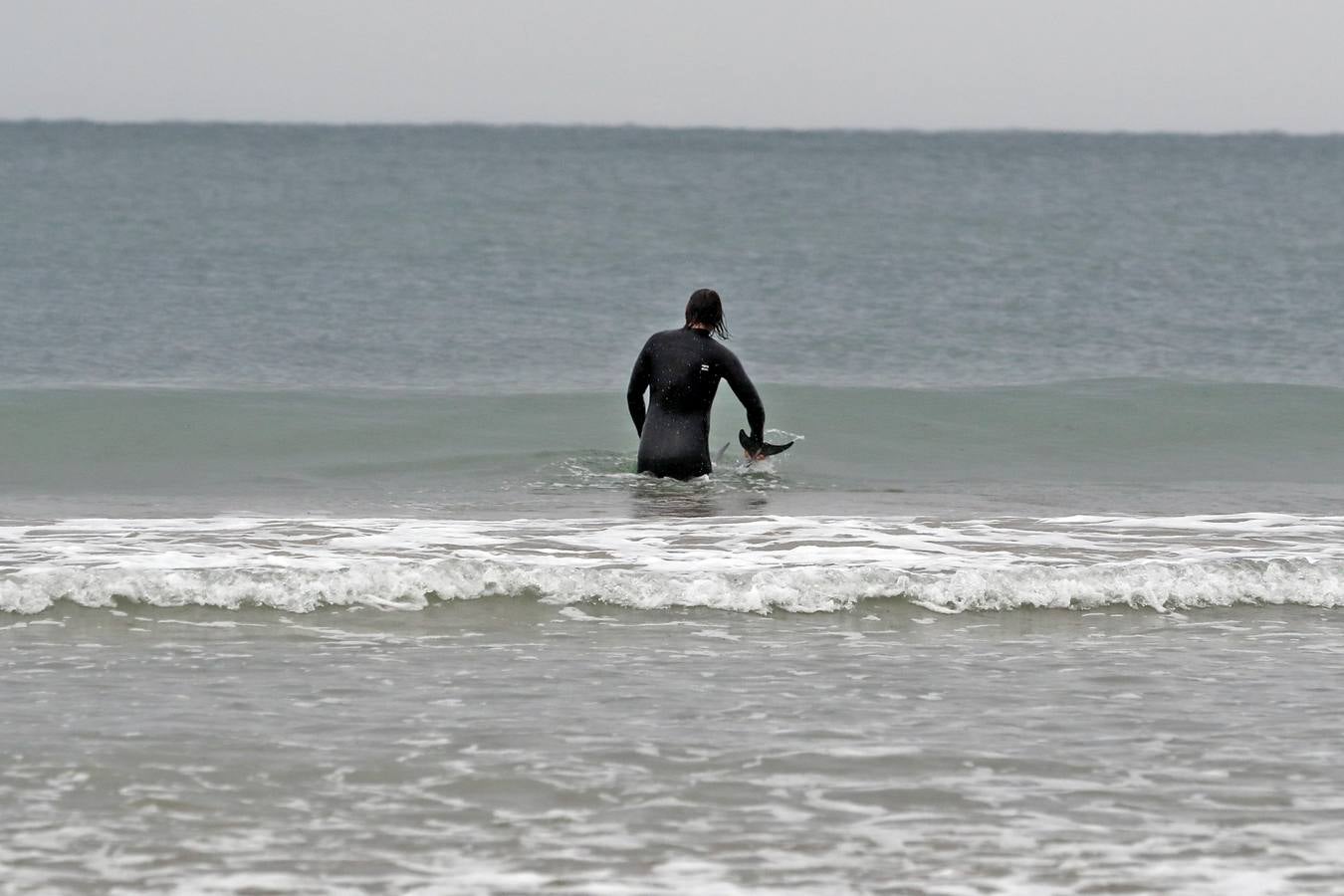 Pese a los esfuerzos de surfistas, voluntarios y agentes del Medio Natural sólo se ha podido devolver al agua con vida a tres de ellos