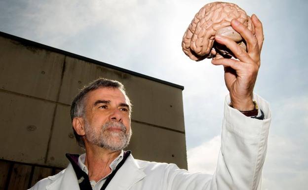 Ignacio Morgado sostiene un cerebro. 