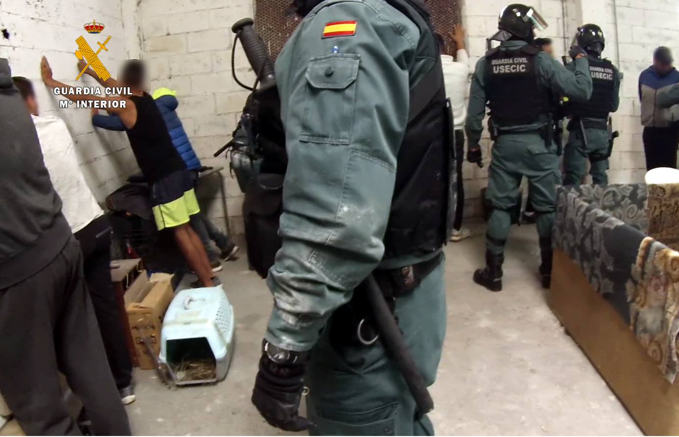 La Guardia Civil realiza 19 detenciones en una operación contra las peleas de gallos en Santiago de Cartes, el domingo electoral