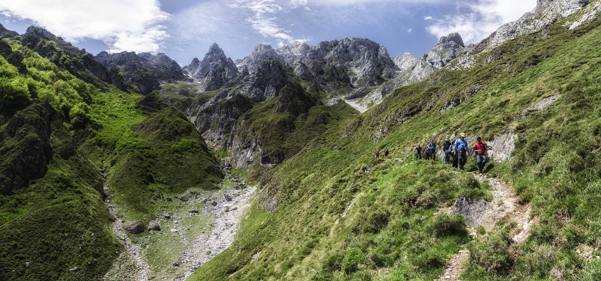 Naturea propone una gran variedad de actividades en las áreas protegidas de Cantabria, con propuestas para todo tipo de públicos y que se adaptan a cada época del año, brindando la posibilidad al visitante de conocer todas las caras de las áreas naturales. Cada una de las áreas protegidas en las que trabajamos dispone de un Centro de Interpretación de referencia desde el que se gestionan tanto itinerarios guiados, actividades de educación ambiental para escolares y trabajos de mantenimiento ambiental en la zona.