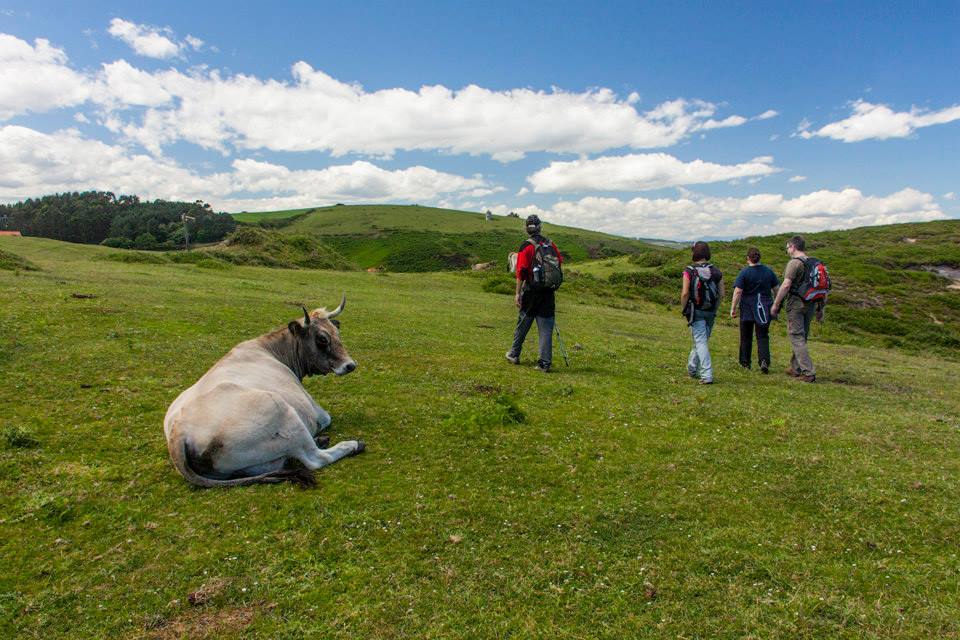 Naturea propone una gran variedad de actividades en las áreas protegidas de Cantabria, con propuestas para todo tipo de públicos y que se adaptan a cada época del año, brindando la posibilidad al visitante de conocer todas las caras de las áreas naturales. Cada una de las áreas protegidas en las que trabajamos dispone de un Centro de Interpretación de referencia desde el que se gestionan tanto itinerarios guiados, actividades de educación ambiental para escolares y trabajos de mantenimiento ambiental en la zona.