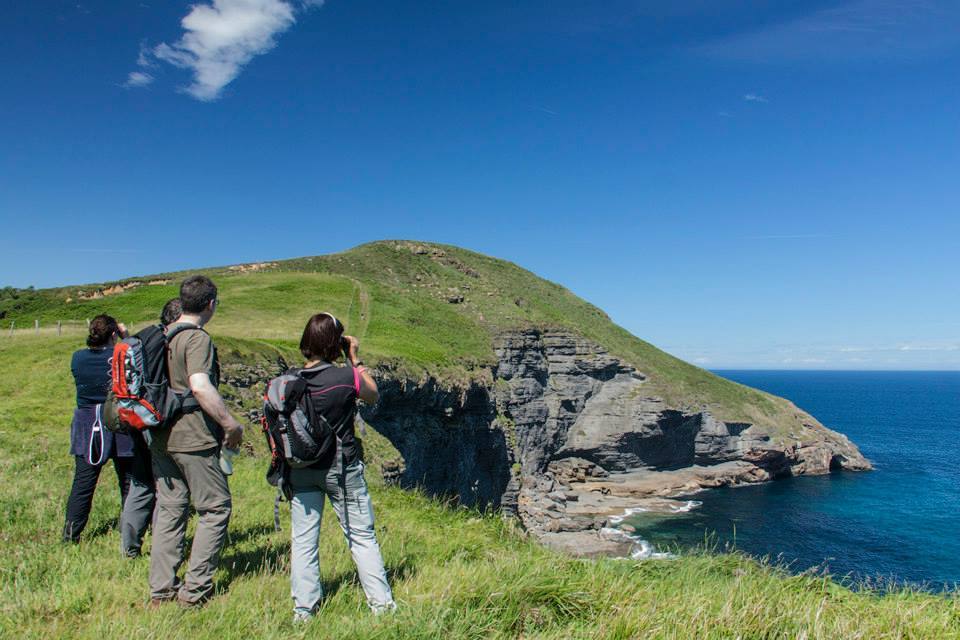 Naturea propone una gran variedad de actividades en las áreas protegidas de Cantabria, con propuestas para todo tipo de públicos y que se adaptan a cada época del año, brindando la posibilidad al visitante de conocer todas las caras de las áreas naturales. Cada una de las áreas protegidas en las que trabajamos dispone de un Centro de Interpretación de referencia desde el que se gestionan tanto itinerarios guiados, actividades de educación ambiental para escolares y trabajos de mantenimiento ambiental en la zona.