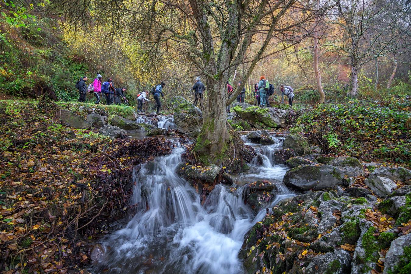 Naturea propone una gran variedad de actividades en las áreas protegidas de Cantabria, con propuestas para todo tipo de públicos y que se adaptan a cada época del año, brindando la posibilidad al visitante de conocer todas las caras de las áreas naturales. Cada una de las áreas protegidas en las que trabajamos dispone de un Centro de Interpretación de referencia desde el que se gestionan tanto itinerarios guiados, actividades de educación ambiental para escolares y trabajos de mantenimiento ambiental en la zona.