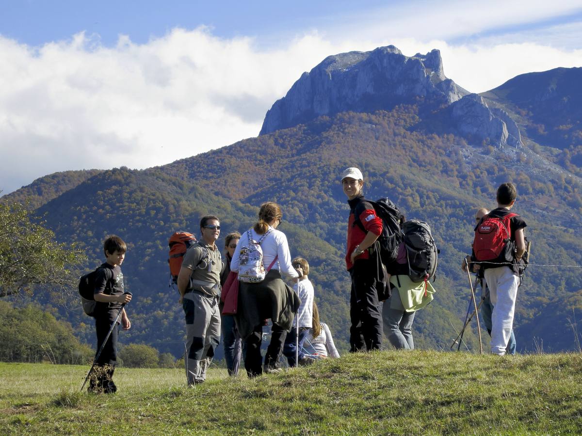 Naturea propone una gran variedad de actividades en las áreas protegidas de Cantabria, con propuestas para todo tipo de públicos y que se adaptan a cada época del año, brindando la posibilidad al visitante de conocer todas las caras de las áreas naturales. Cada una de las áreas protegidas en las que trabajamos dispone de un Centro de Interpretación de referencia desde el que se gestionan tanto itinerarios guiados, actividades de educación ambiental para escolares y trabajos de mantenimiento ambiental en la zona.