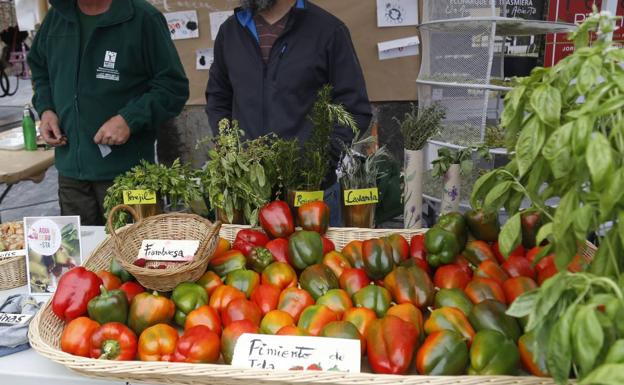 Villaescusa celebrará su primera feria de productores y artesanos