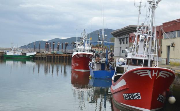 Barcos pesqueros en el puerto de Colindres.