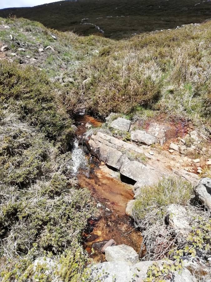 Arroyo en la sierra.