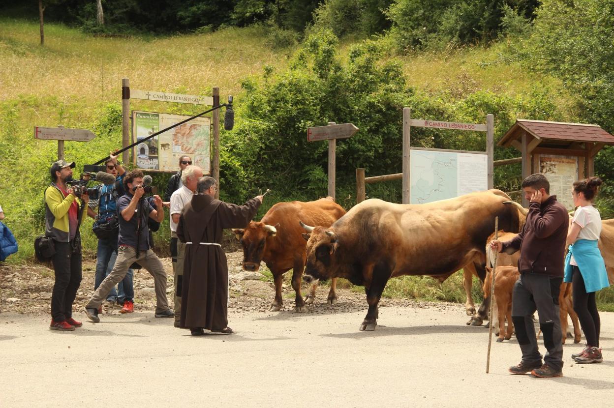 El padre Óscar bendijo a numerosos animales en la explanada de Santo Toribio. 