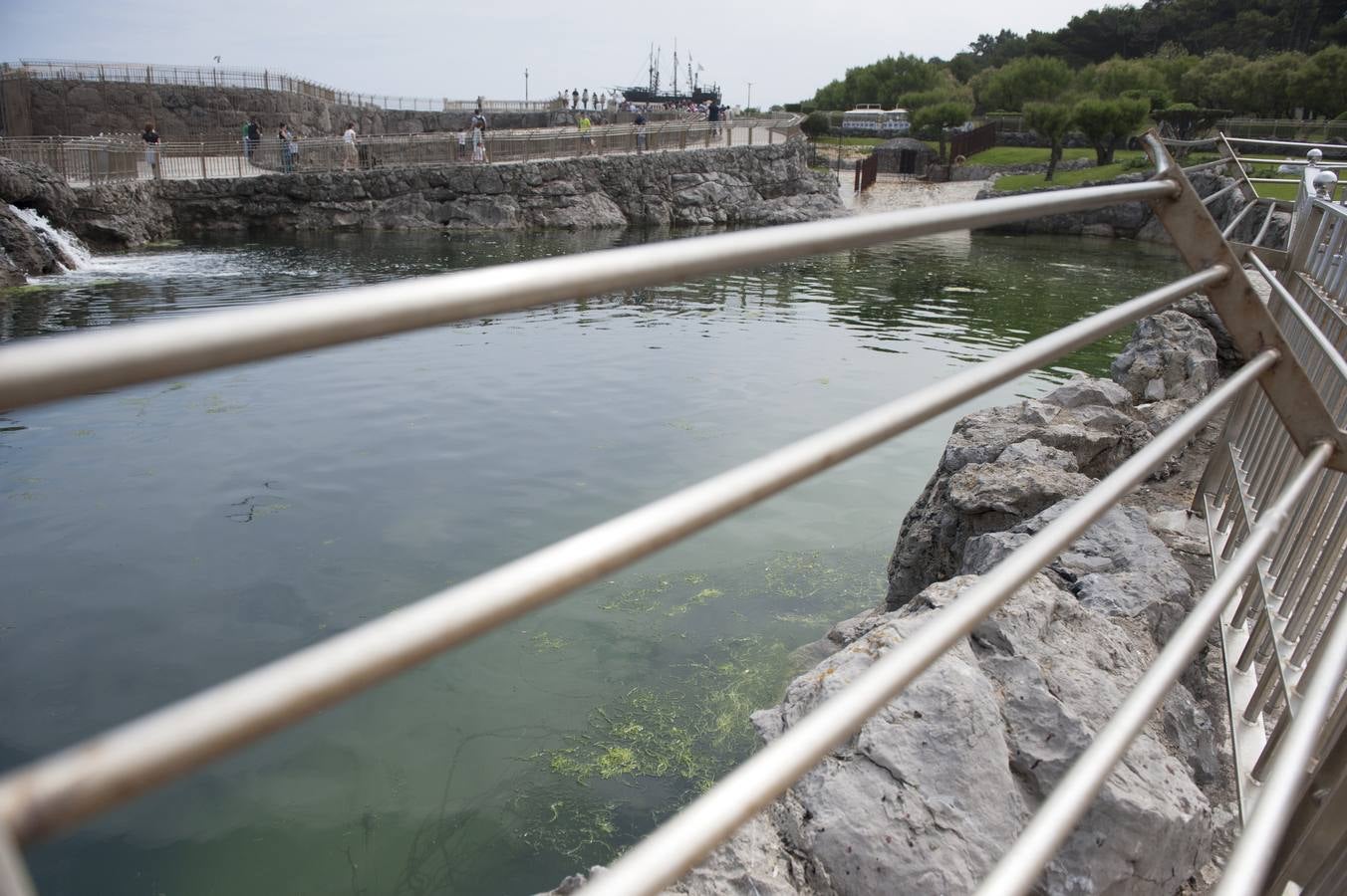 Ecologistas en Acción y Arca alertan de que la marea verde es una proliferación excesiva de algas debida a la existencia de gran cantidad de nutrientes en el medio acuático