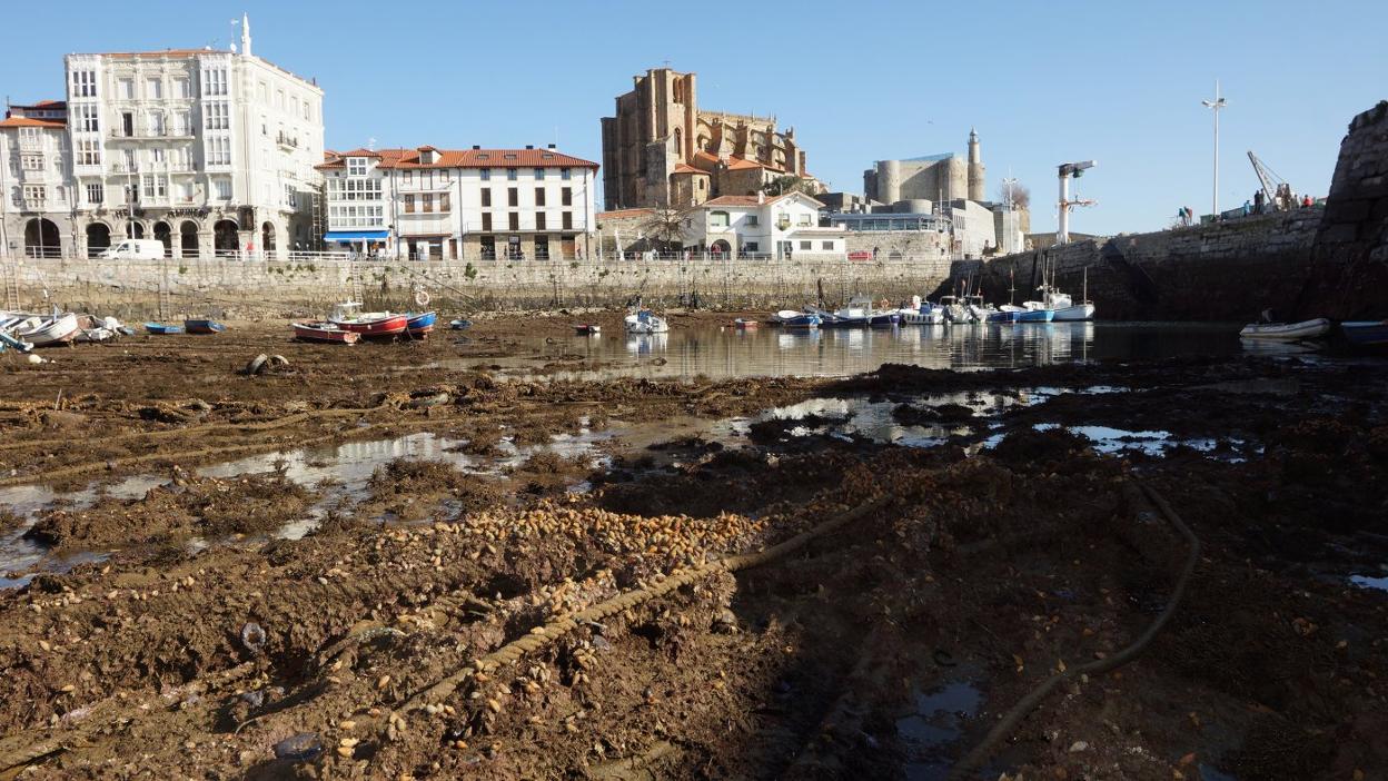 El puerto castreño en bajamar. 