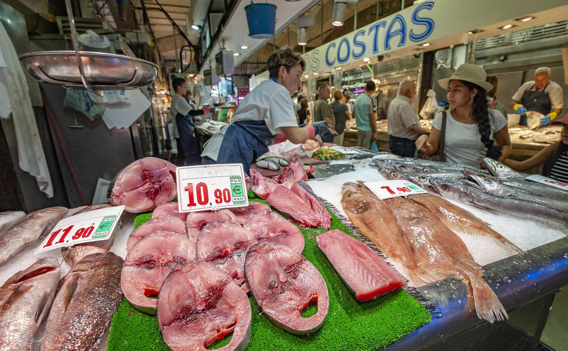 Bonito del norte, de vuelta cada verano