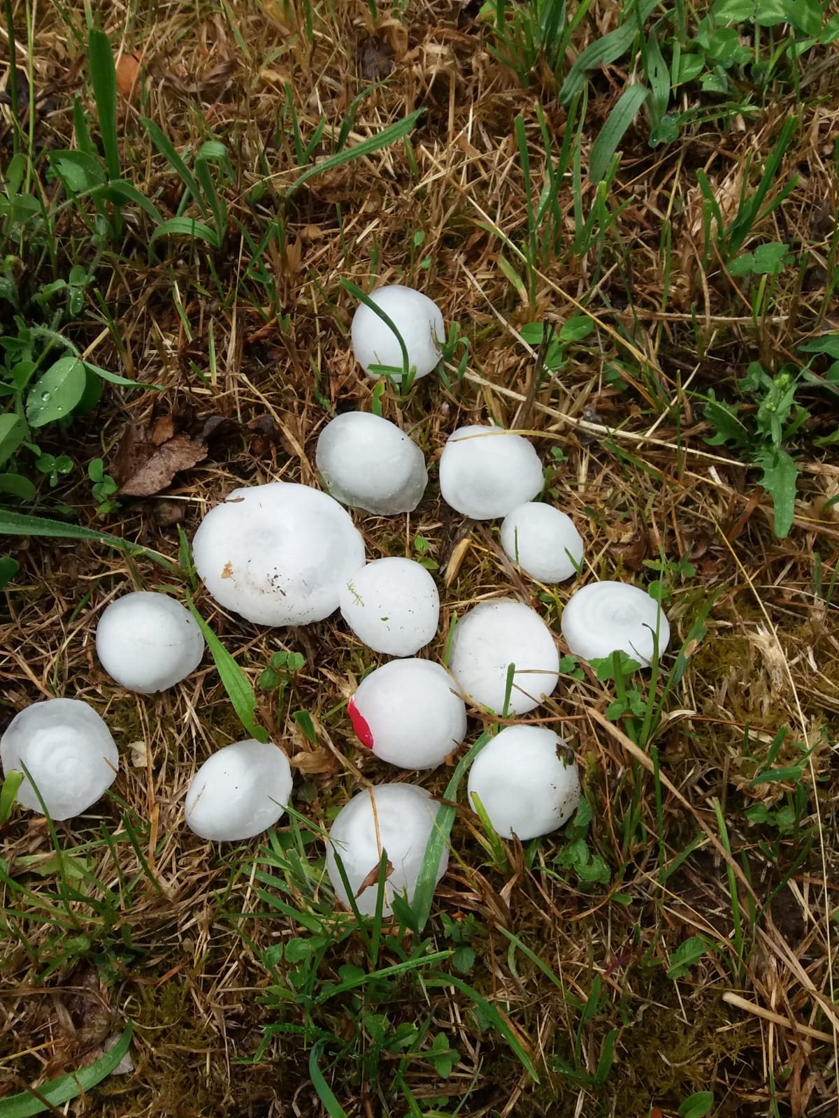 Fotos: Granizos como «pelotas de tenis» en Cabezón de la Sal