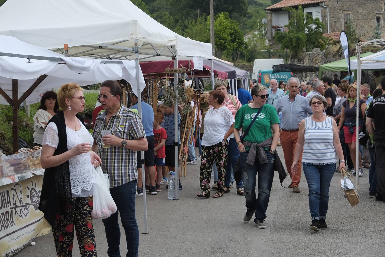 Fotos: XVI fiesta anual del PRC, en el Arenal de Penagos