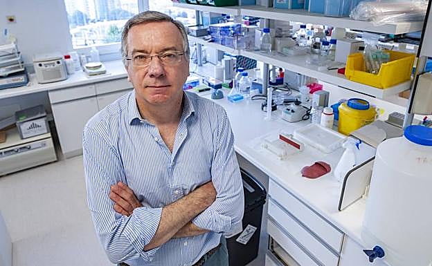 Galo Peralta, director de gestión de la Fundación Idival, en la sede del instituto en Santander. 