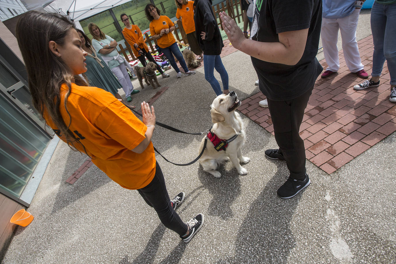 Fotos: Ayuda canina para los niños de Valdecilla