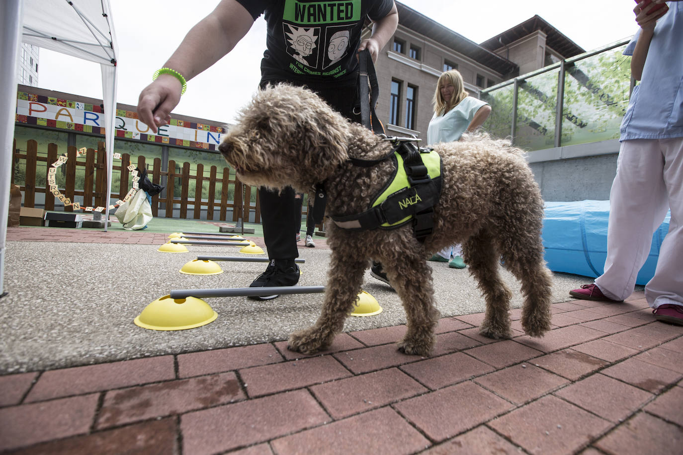 Fotos: Ayuda canina para los niños de Valdecilla