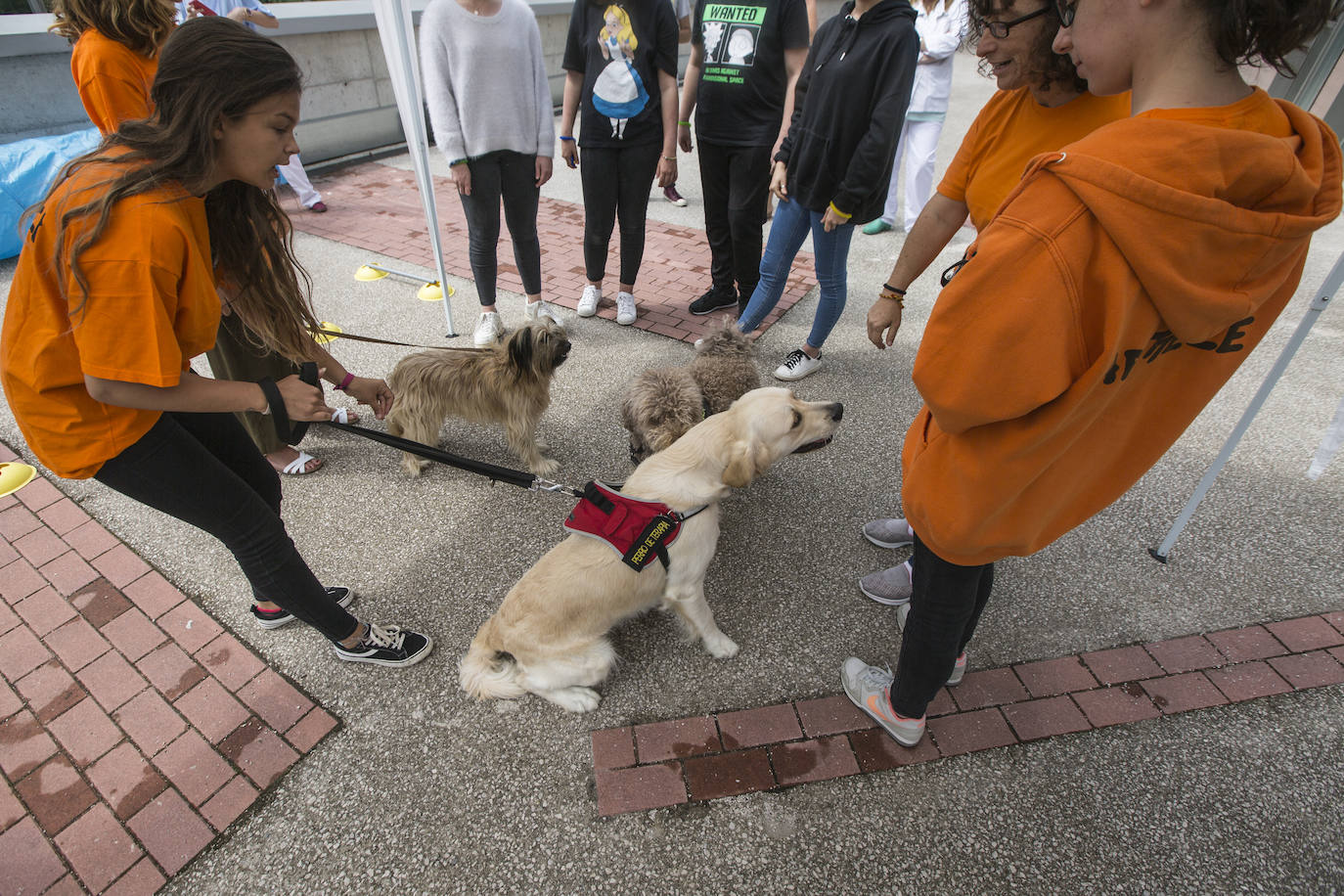 Fotos: Ayuda canina para los niños de Valdecilla