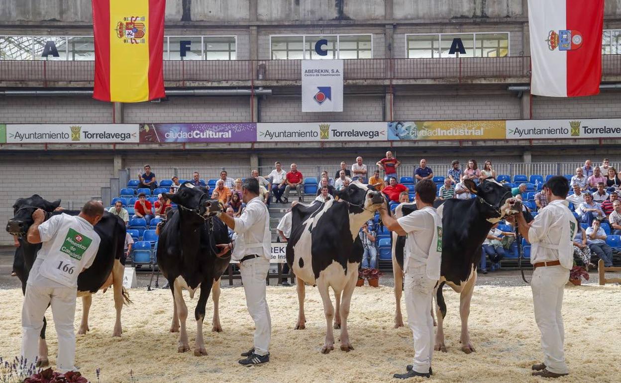 Torrelavega tiene un 'Fin de Semana de la Leche', con el Concurso de Ganado y Feria de Alimentación