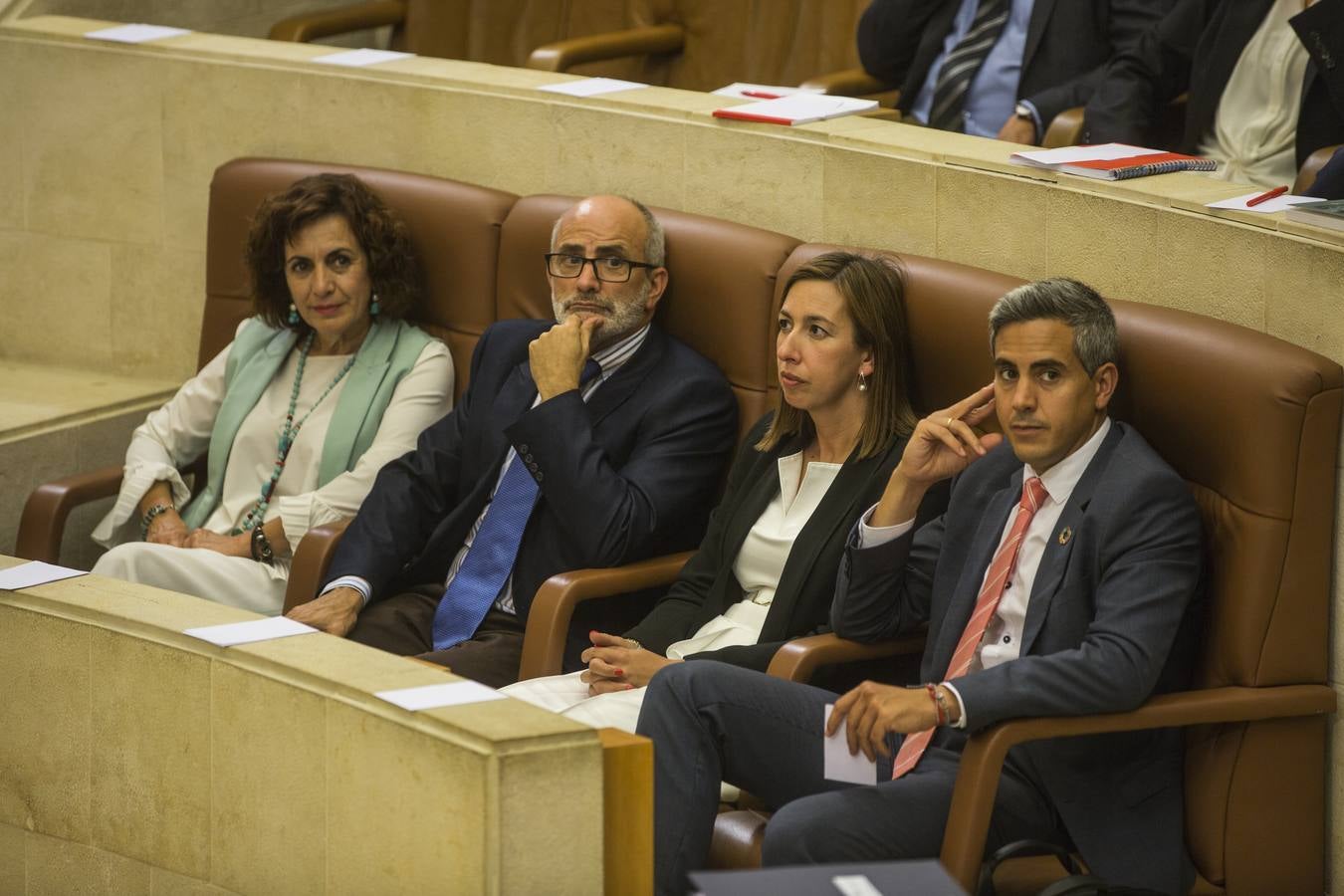 Fotos: Pleno para elegir el senador autonómico de Cantabria. Los consejeros se estrenan en su bancada