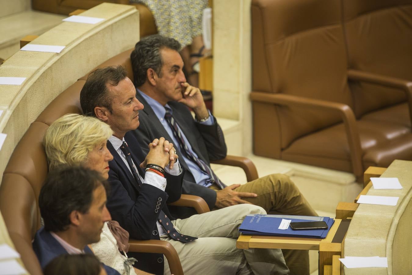 Fotos: Pleno para elegir el senador autonómico de Cantabria. Los consejeros se estrenan en su bancada