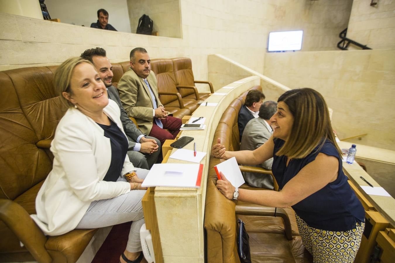 Fotos: Pleno para elegir el senador autonómico de Cantabria. Los consejeros se estrenan en su bancada