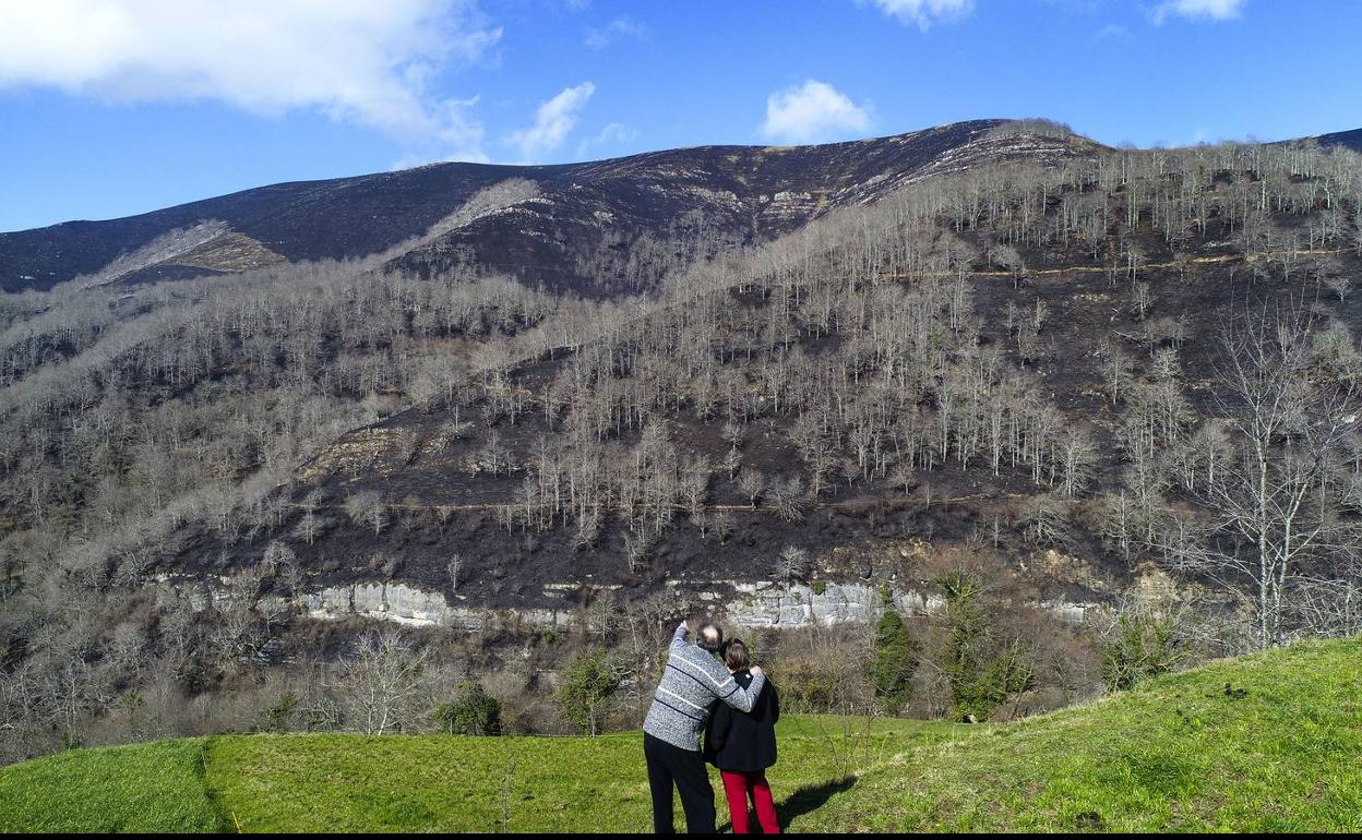 El Gobierno activa el nivel 2 del operativo de incendios forestales en el sur de Cantabria