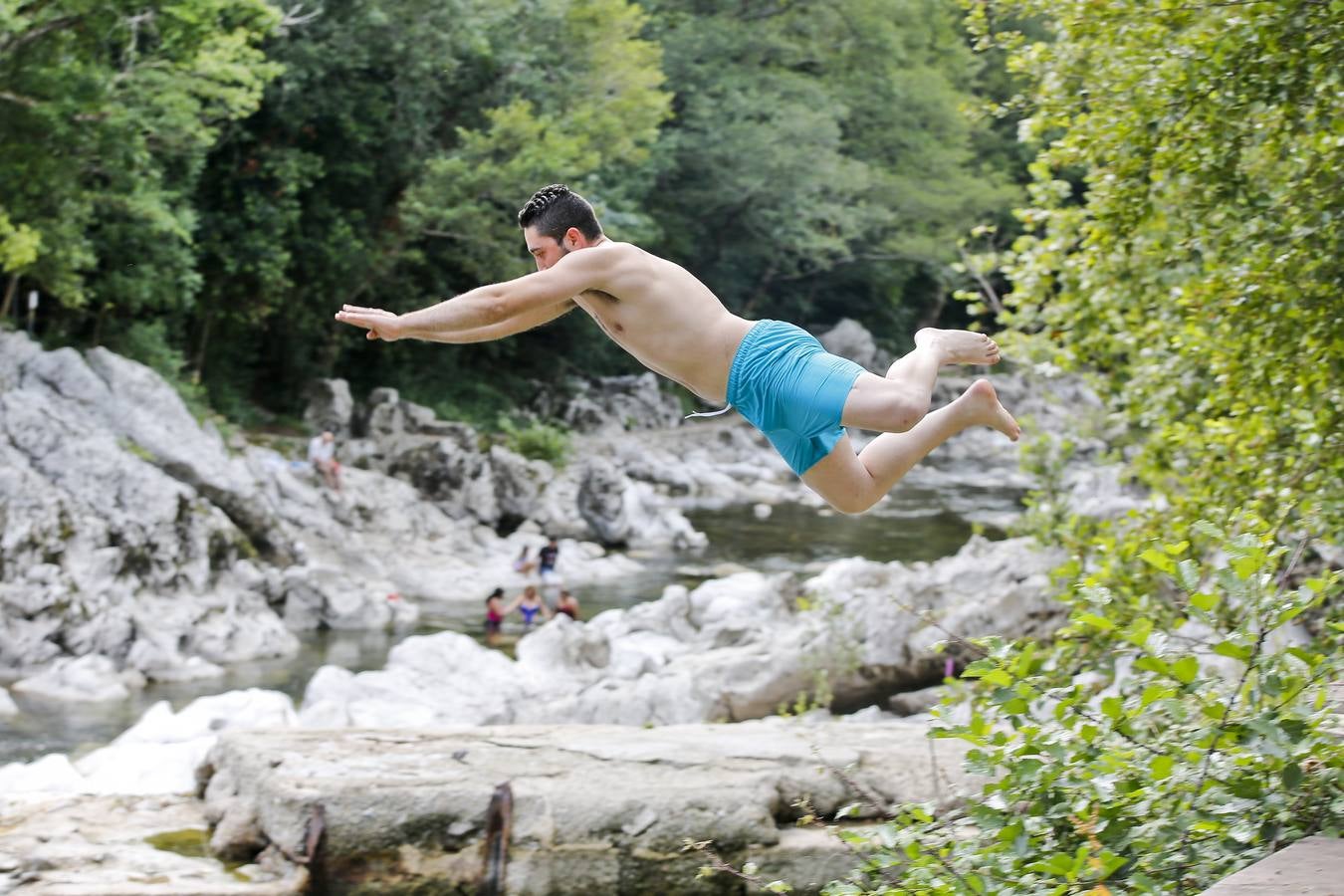 En pleno vuelo, antes de zumbullirse en el agua.