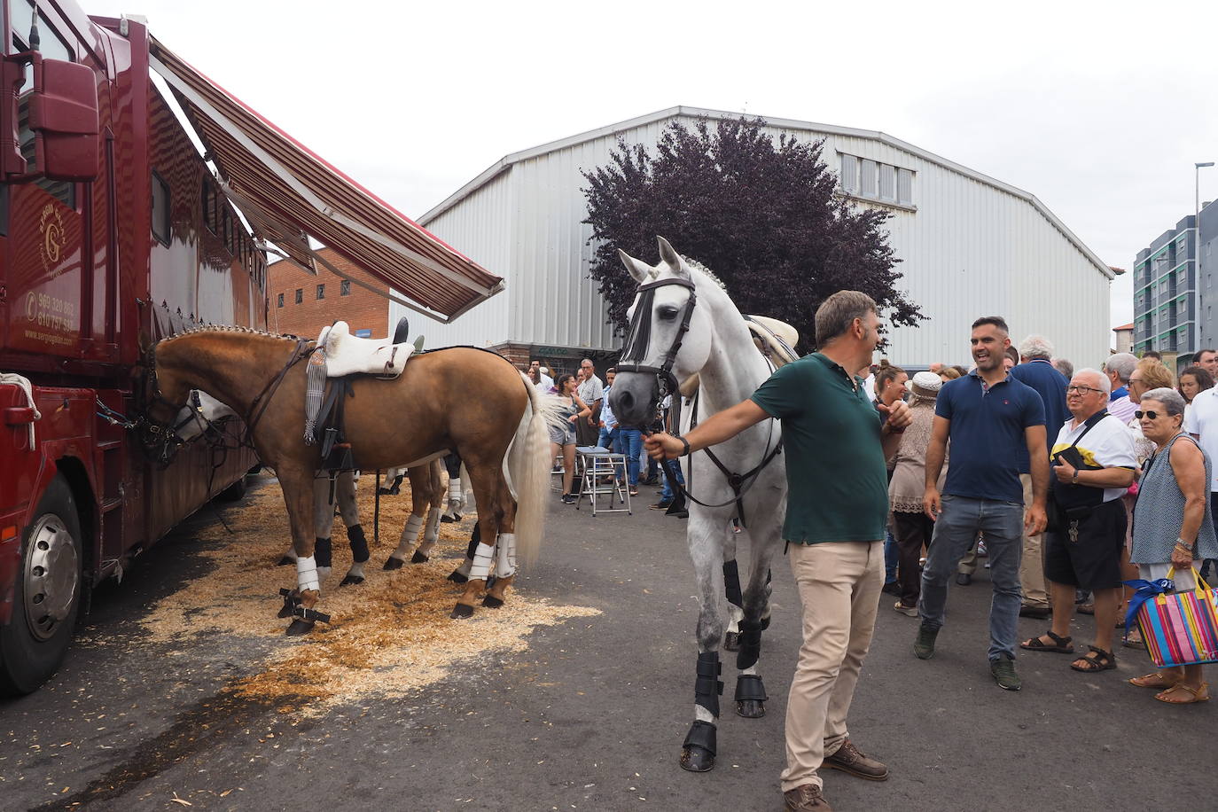 Fotos: Despierta la fiesta en el coso santanderino