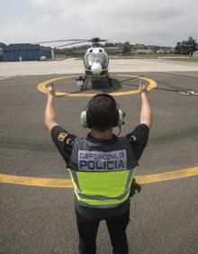 Imagen secundaria 2 - Los ojos que protegen la ciudad