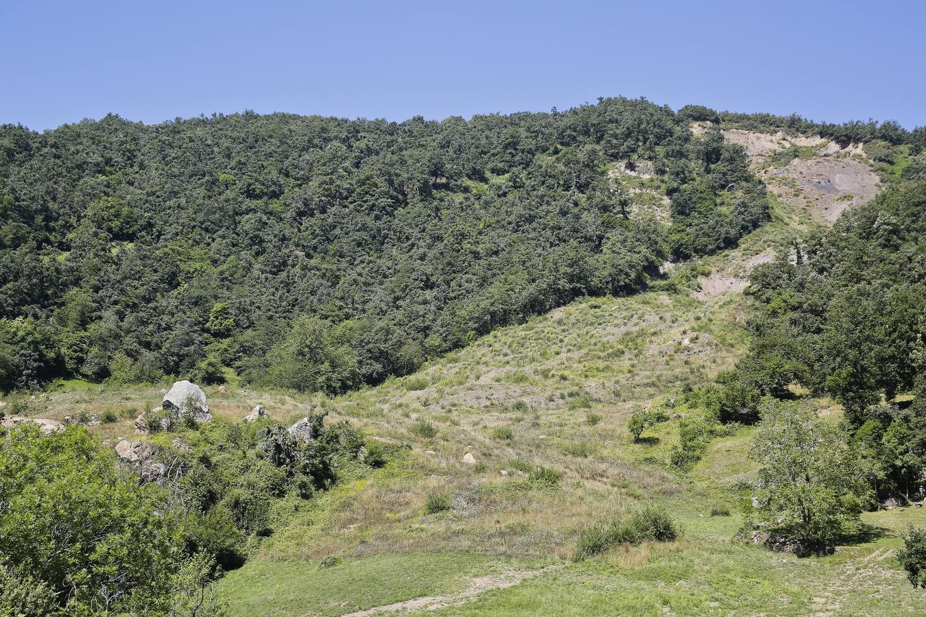Imagen de la lengua del corrimiento de tierras, a la entrada de Sebrango.
