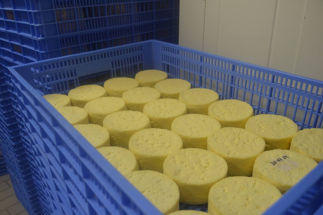 Fotos: El mejor queso de Cantabria de 2019 se elabora en Tresviso