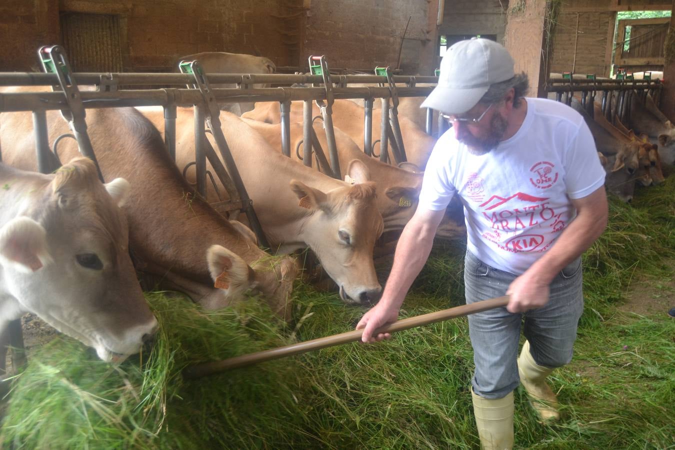 Fotos: El mejor queso de Cantabria de 2019 se elabora en Tresviso