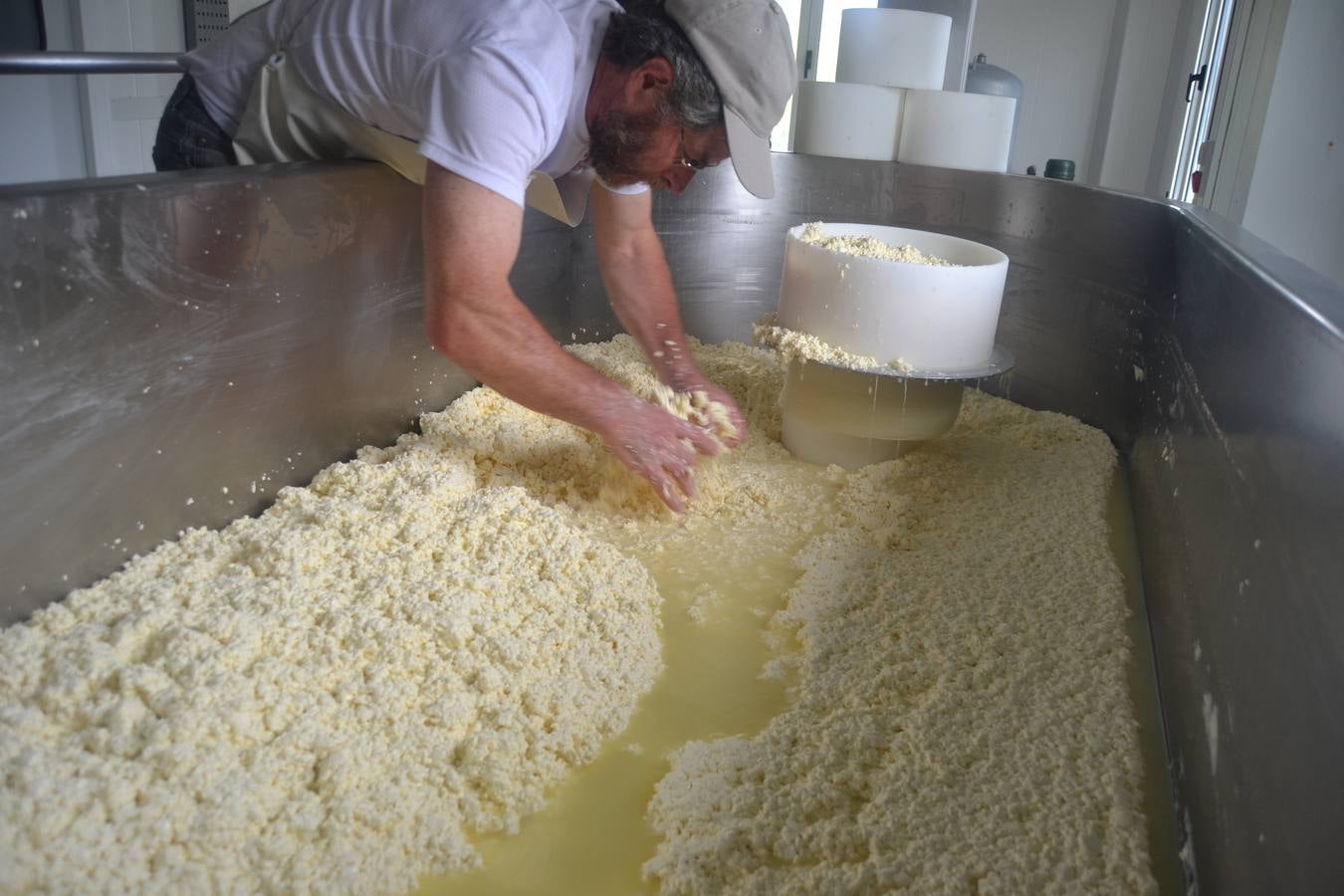 Javier Campo introduce manualmente la cuajada en los moldes para elaborar el queso. 
