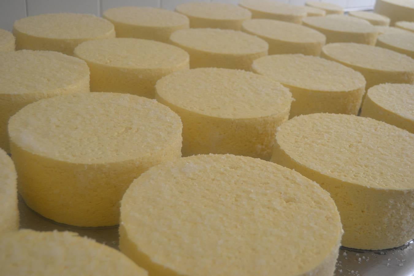 Fotos: El mejor queso de Cantabria de 2019 se elabora en Tresviso