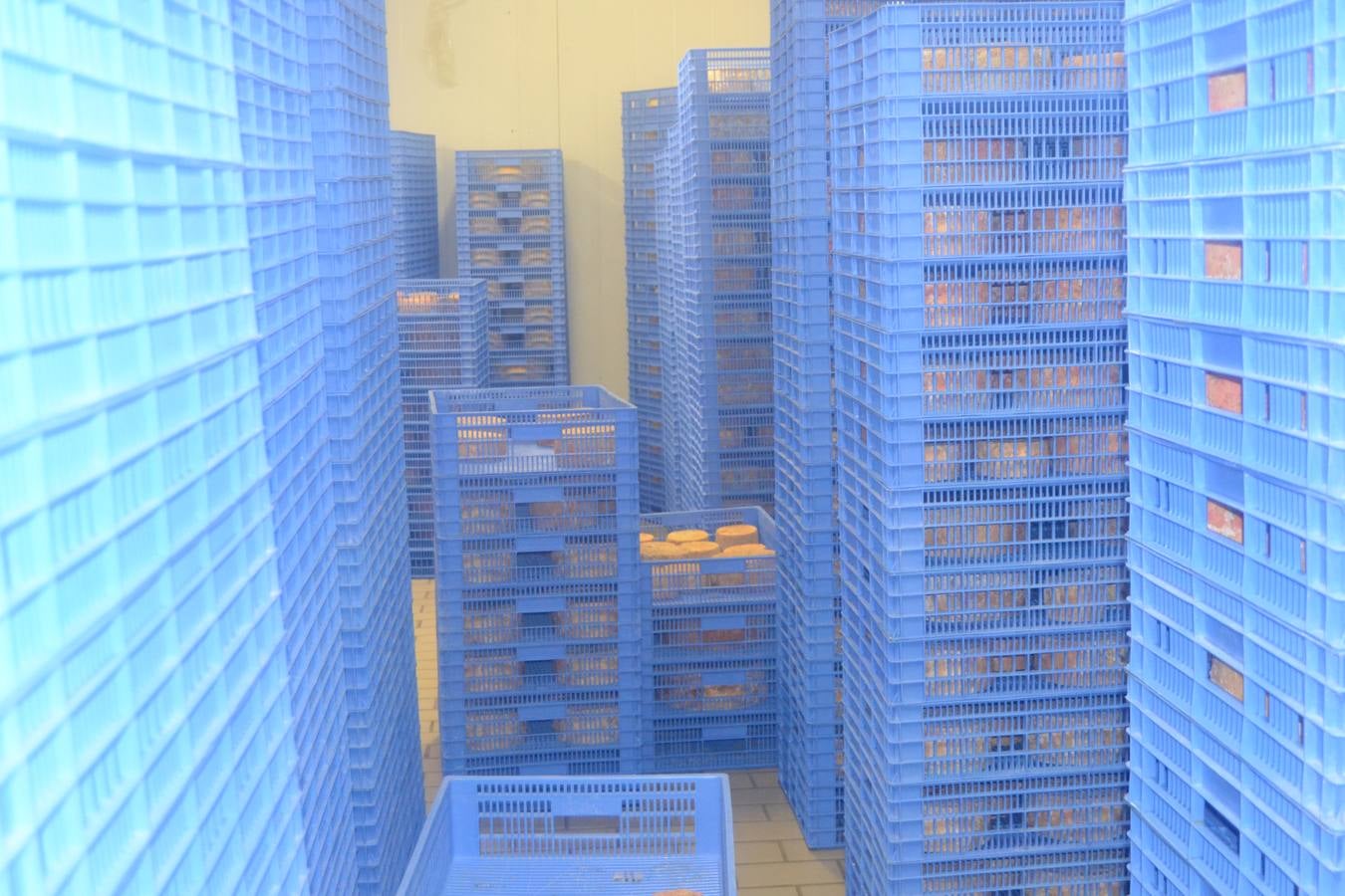 El queso madura entre dos y tres meses antes de salir al mercado. 