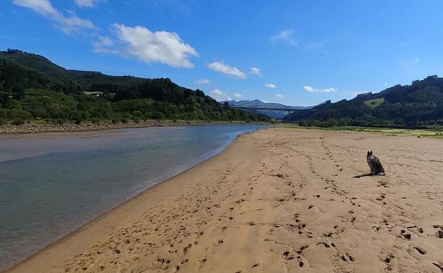 Playa de Oriñón.